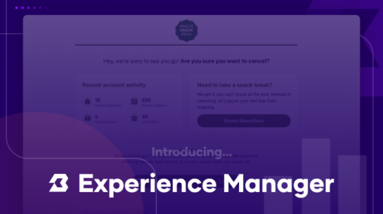 Experience manager poster